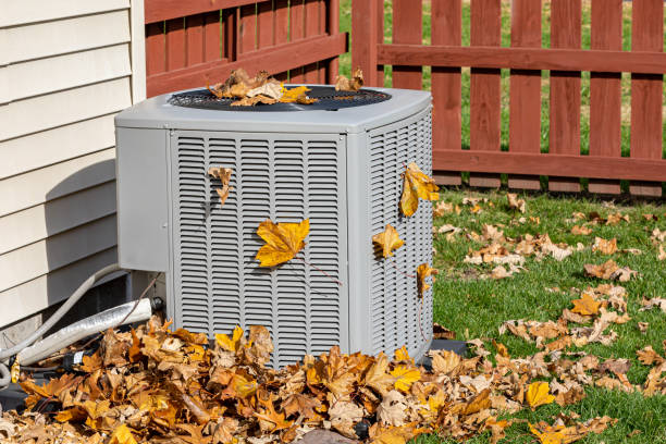 Best HVAC Air Duct Cleaning  in Lake Catherine, IL
